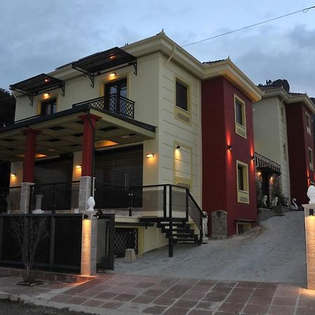 卡兰巴卡Dominique Meteora House公寓 外观 照片